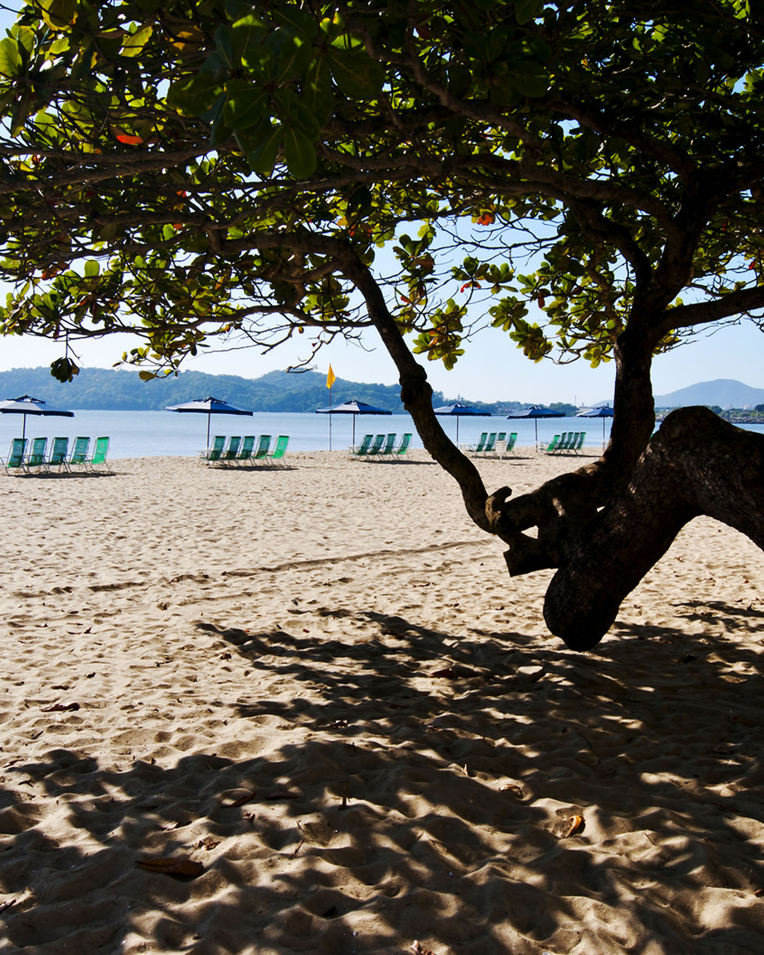 Veja aqui algumas dicas de passeios imperdíveis em Balneário Piçarras
