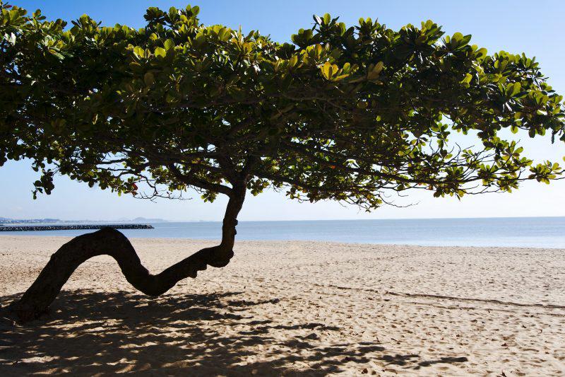 Praia de Balneário Piçarras